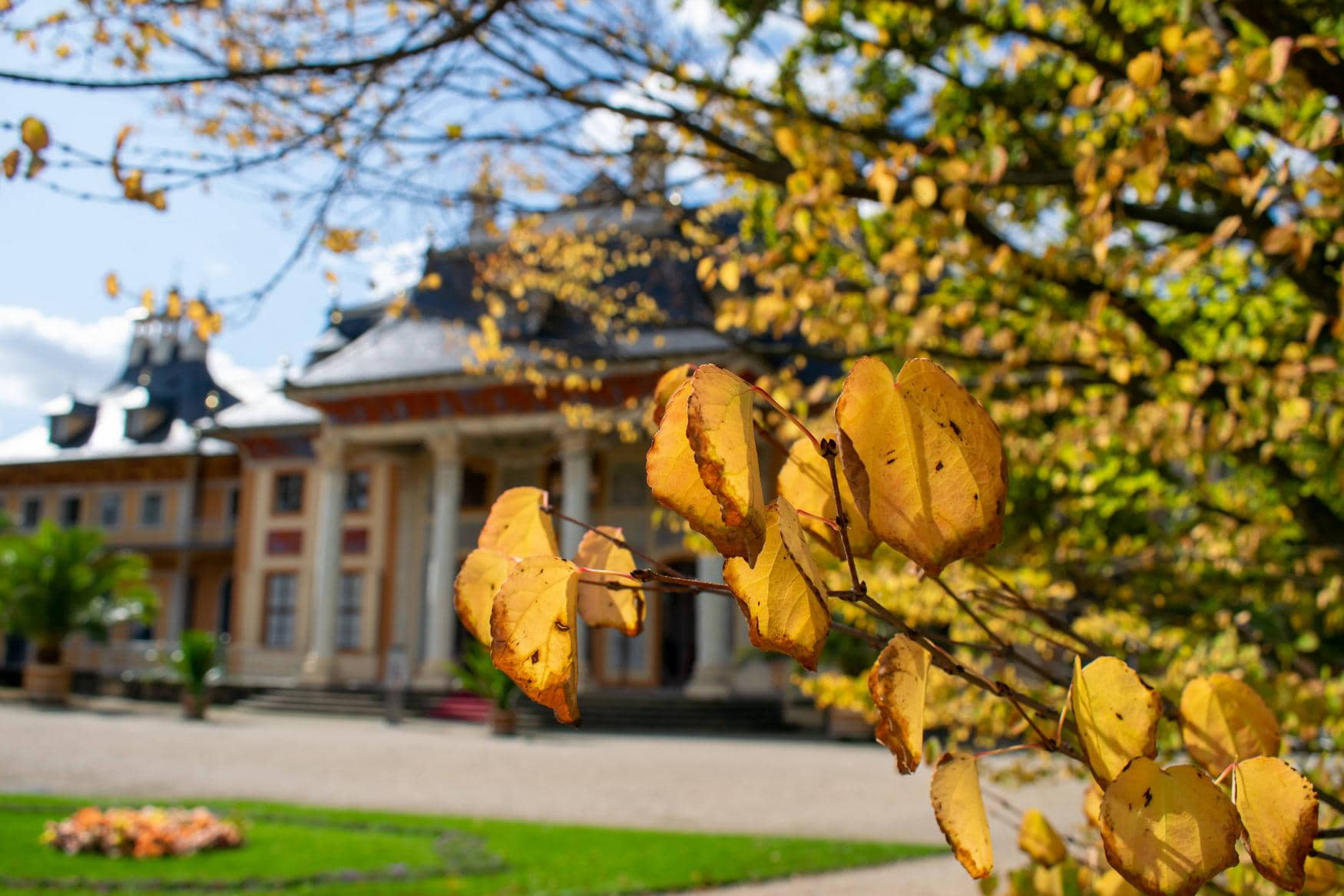 Pillnitz Castle photo 1