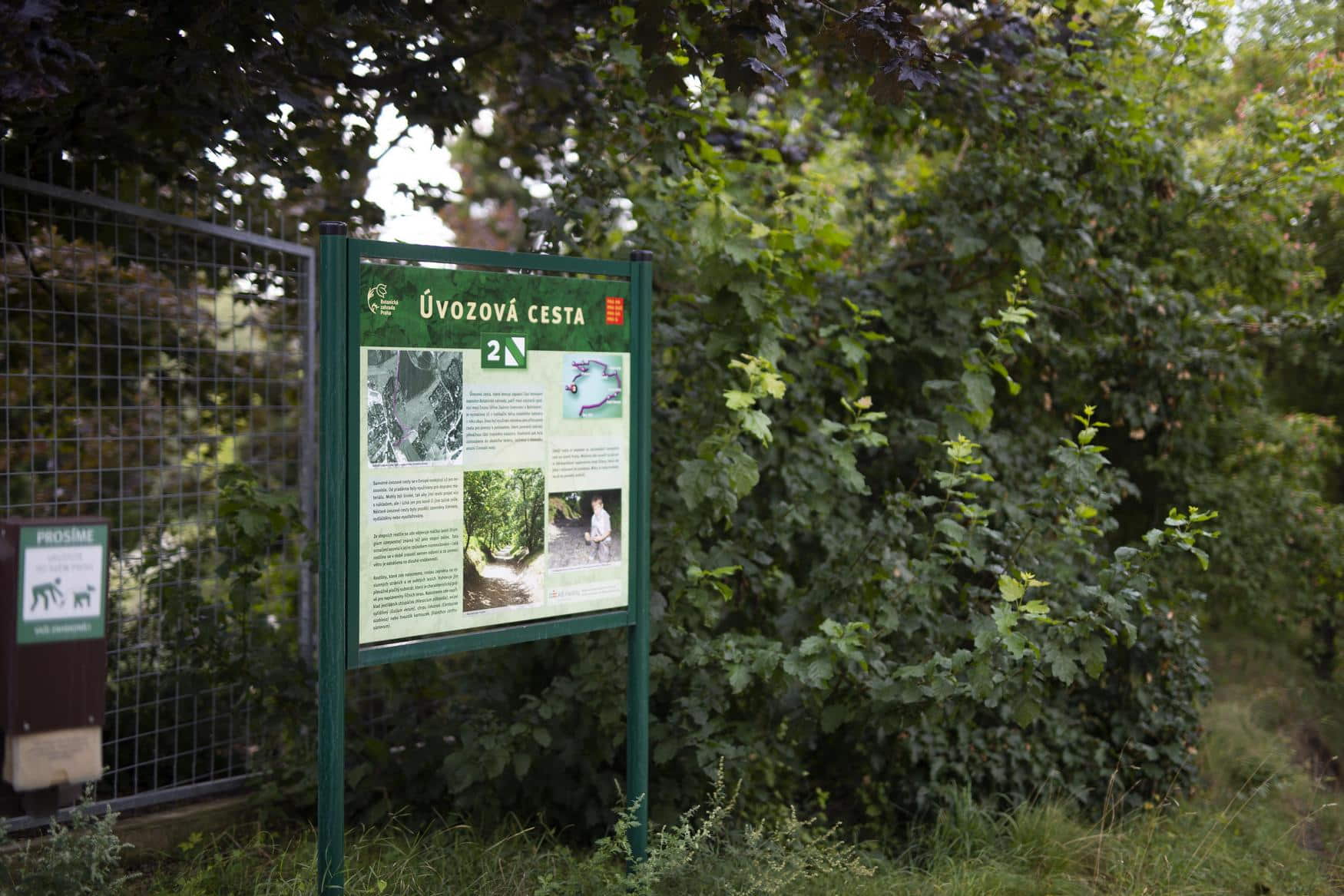 Royal Garden photo 1