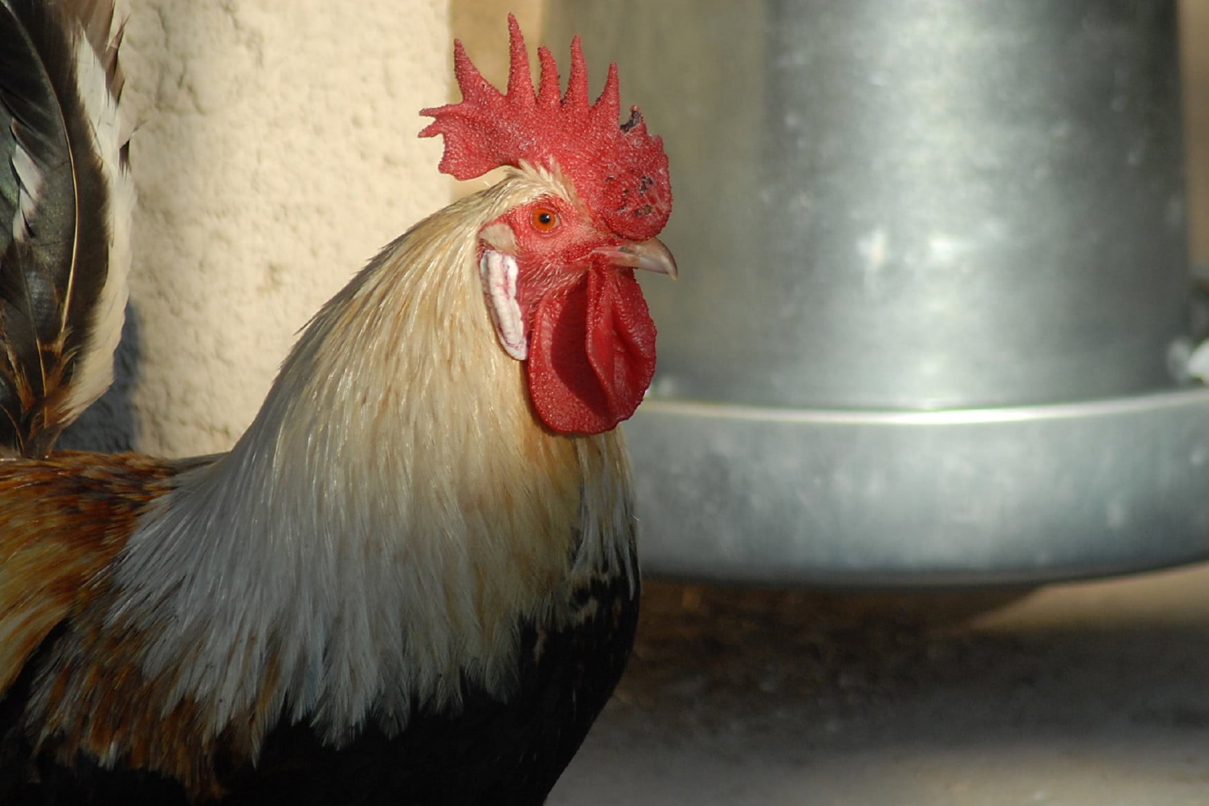 Protur Natura Farm photo 1