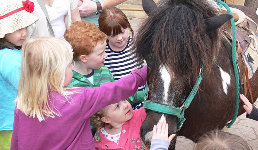 Rancho Grande Mallorca photo 1