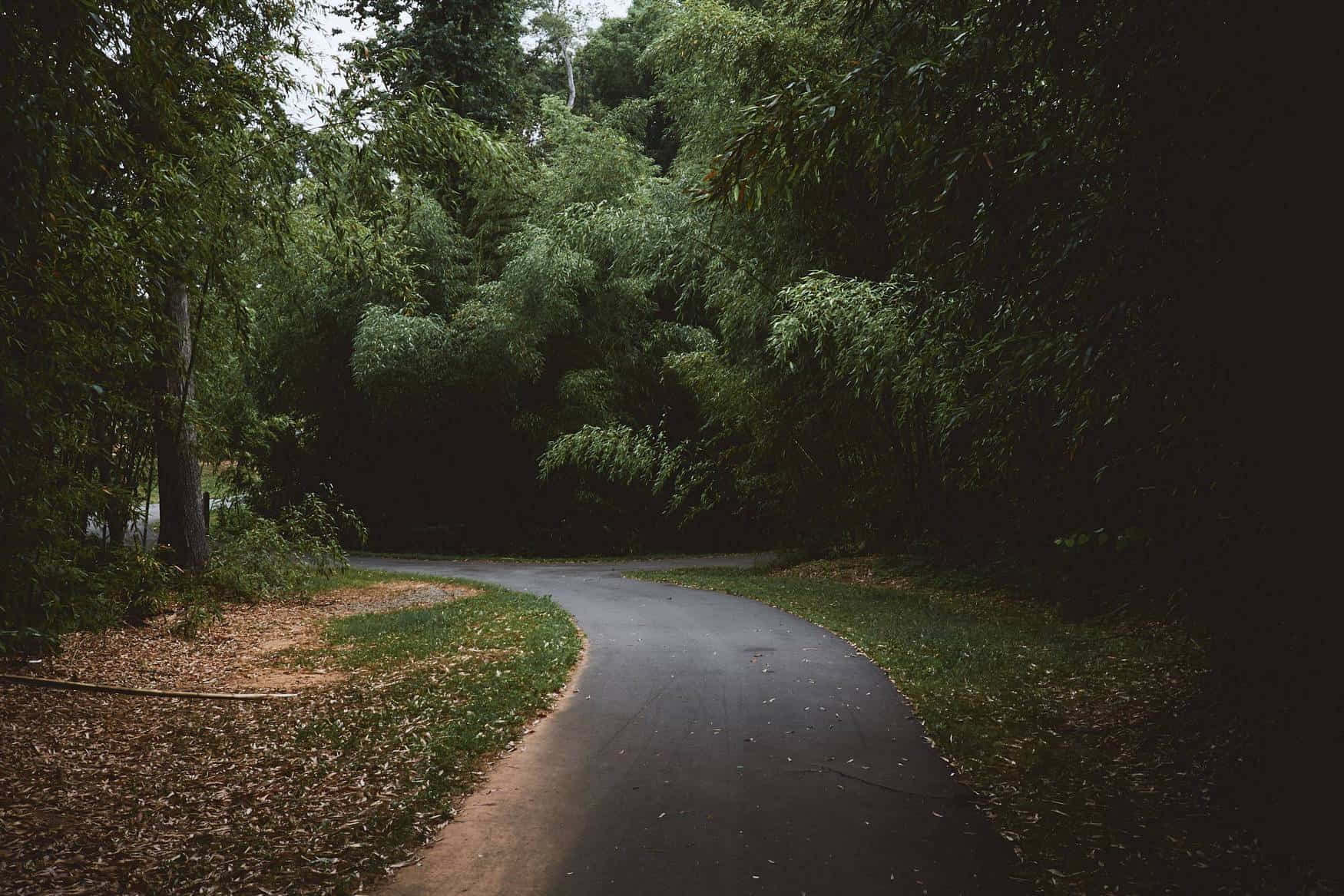 Robbins Park photo 1