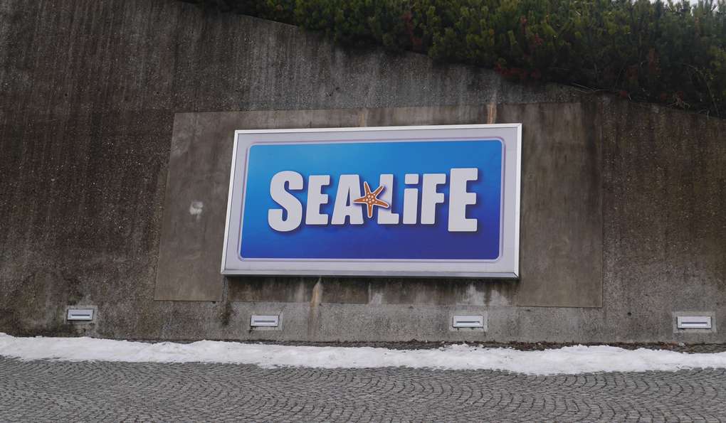 Sea Life Munich photo 1