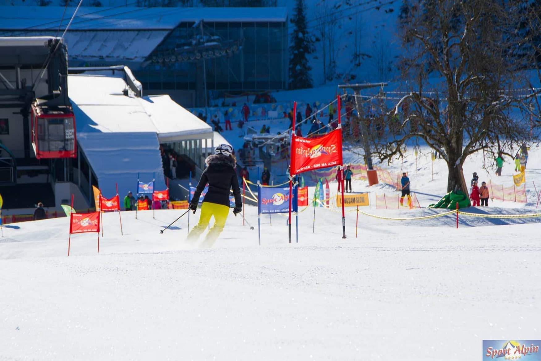 Sport Alpin Ski School