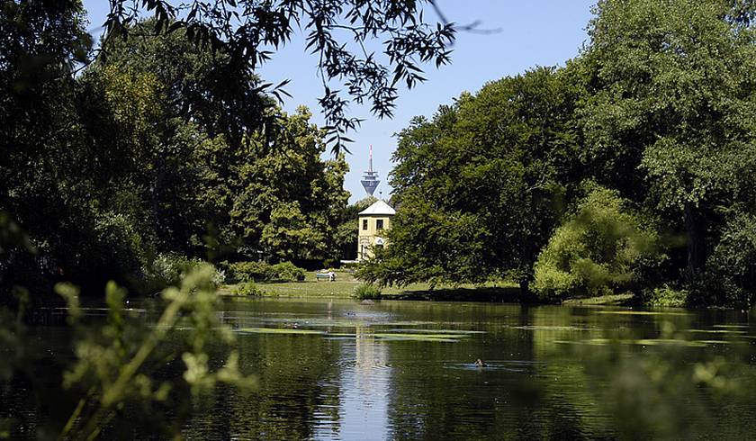 South Park and Mini Zoo photo 1