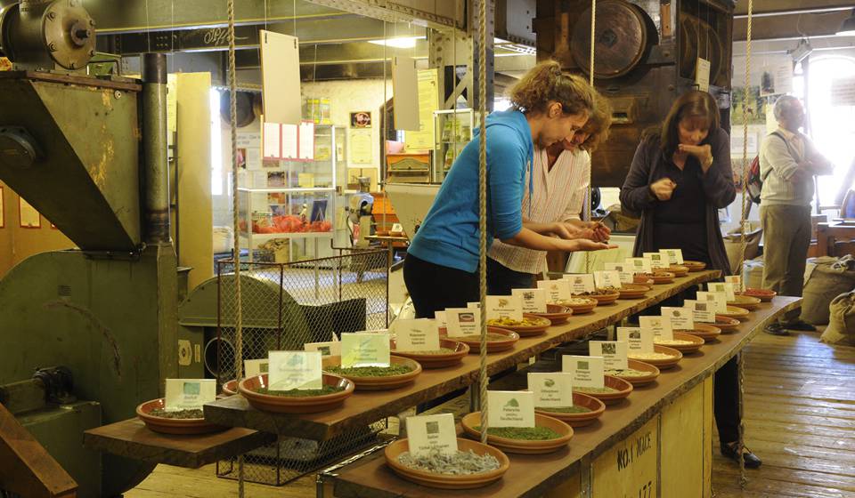 Spicys Spice Museum photo 1