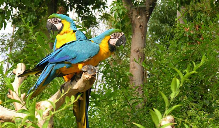 Terra Natura Benidorm photo 1