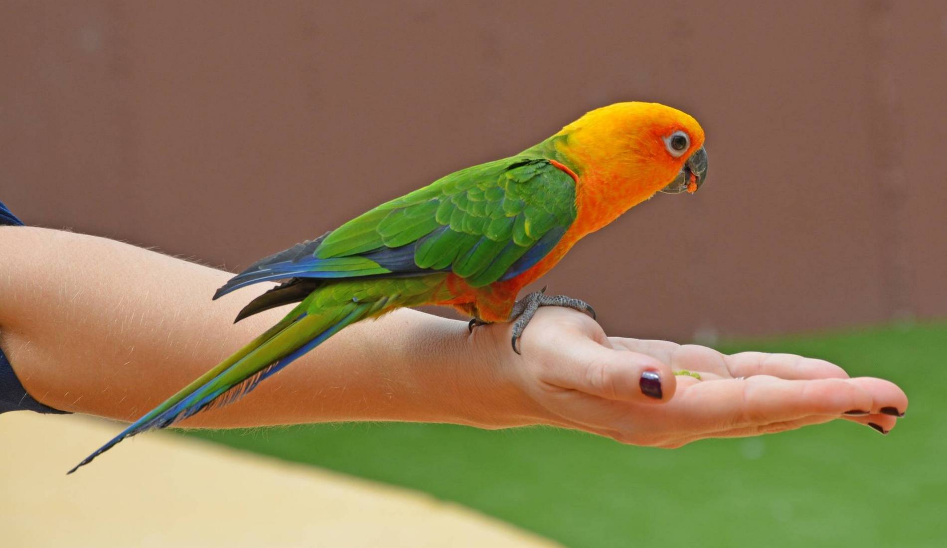 Terra Natura Benidorm