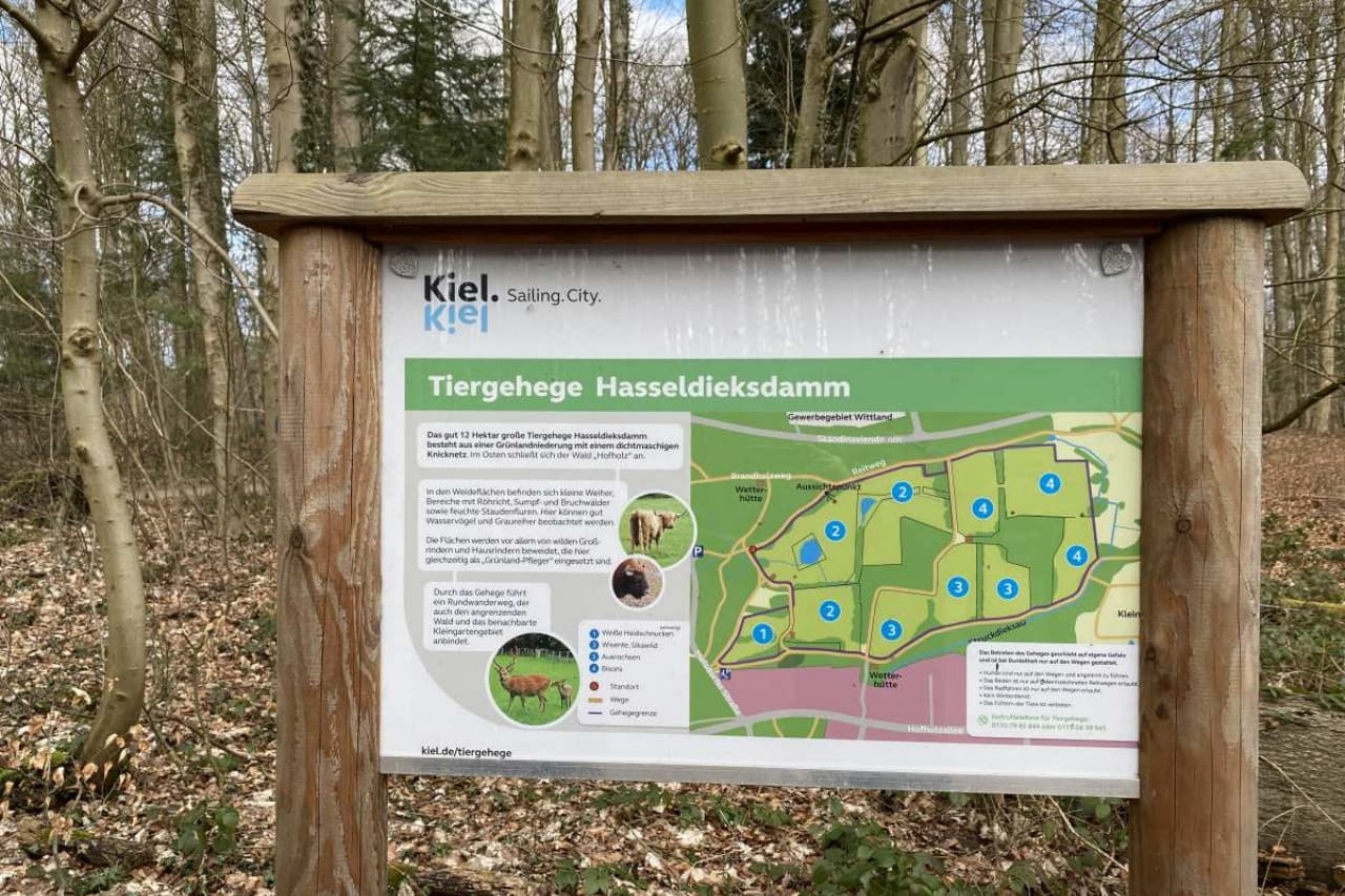 Tiergehege Hasseldieksdamm photo 1
