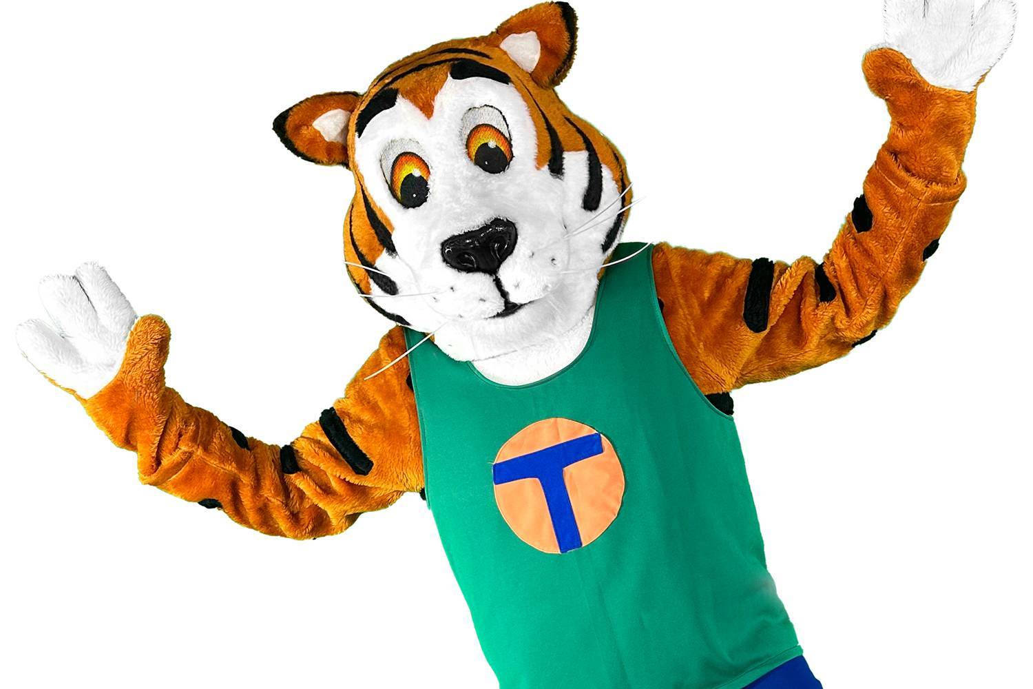 Tommys Turbulente Tobewelt photo 1