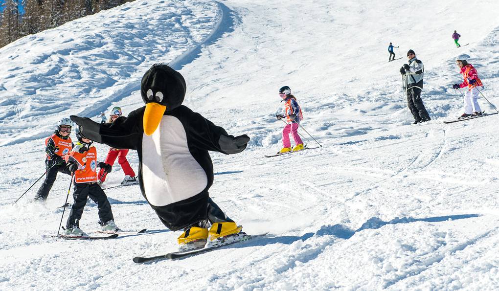 Top Alpin Walchhofer Ski School