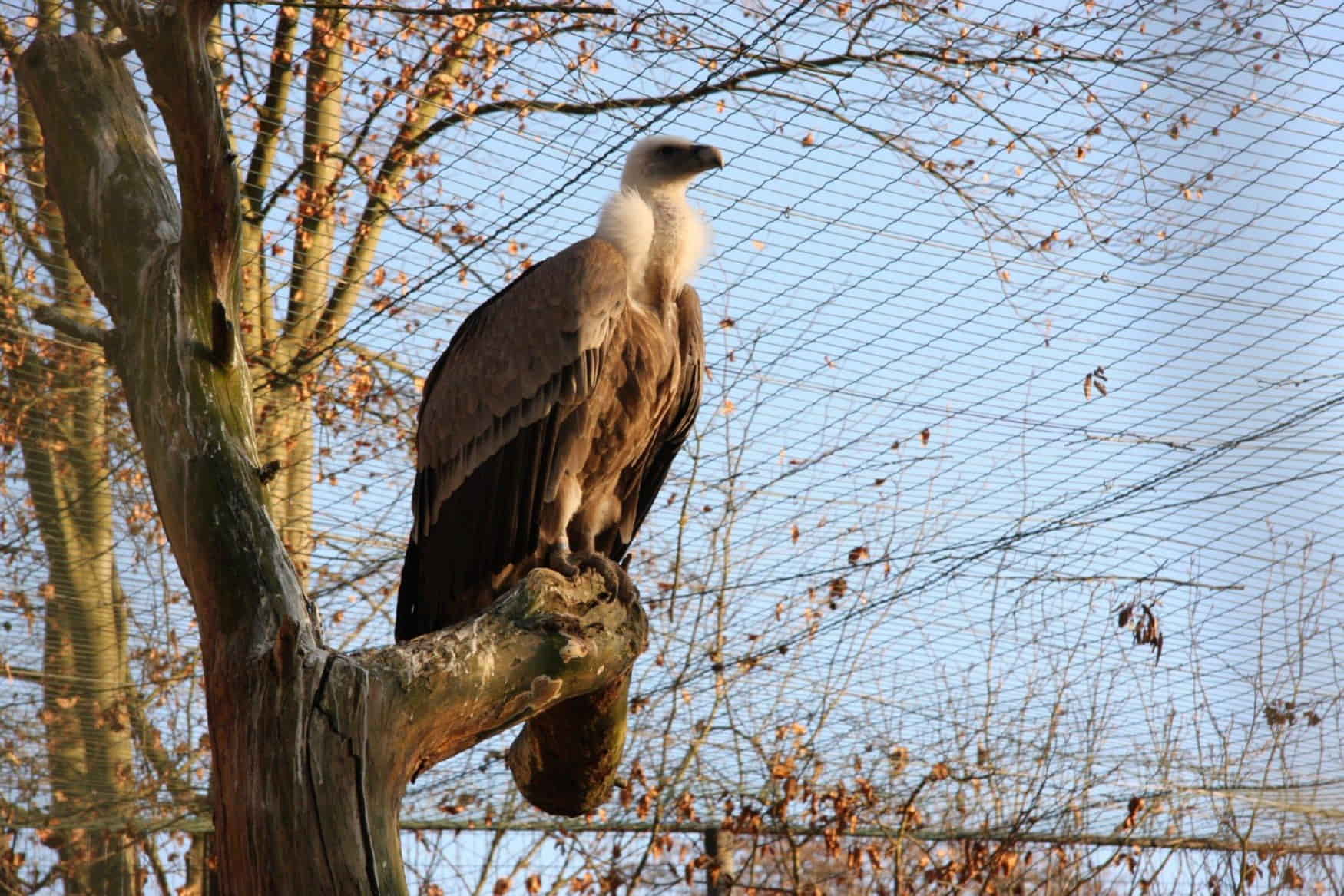 Vivarium Darmstadt photo 1