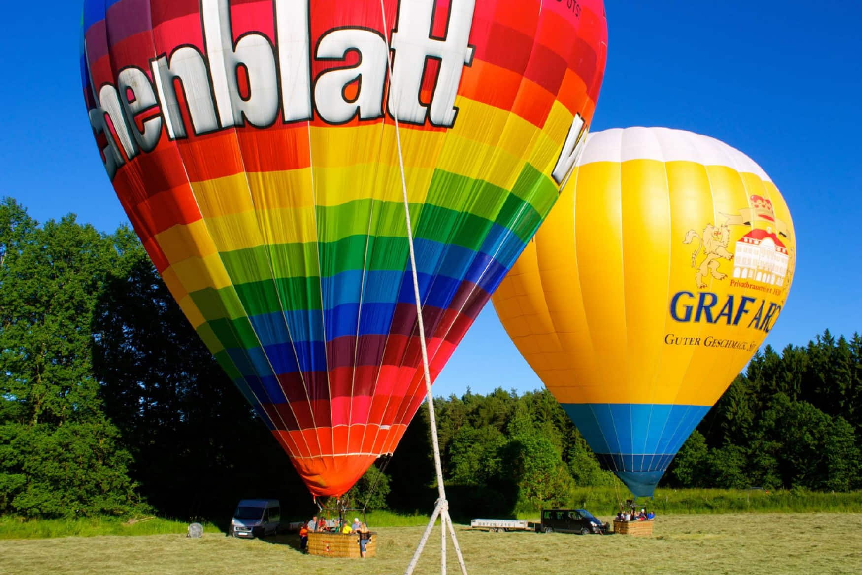 Voglsam Adventure Park photo 1