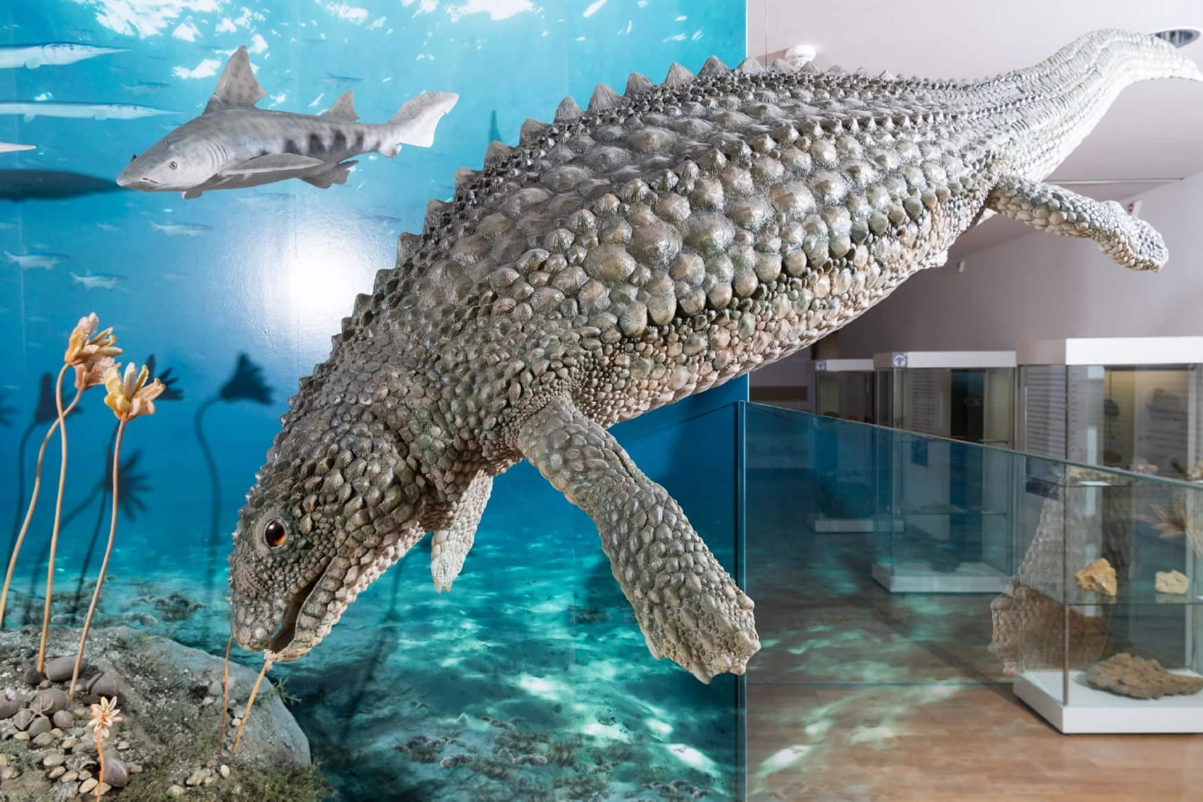 Vonderau Museum photo 1