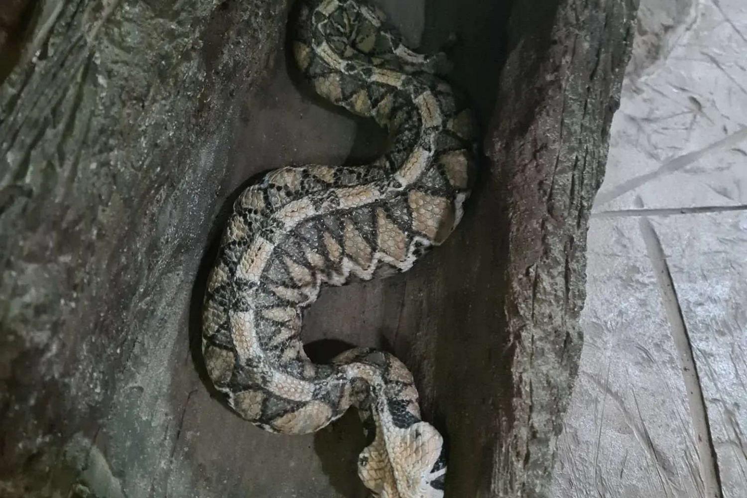 Welt der Gifte photo 1