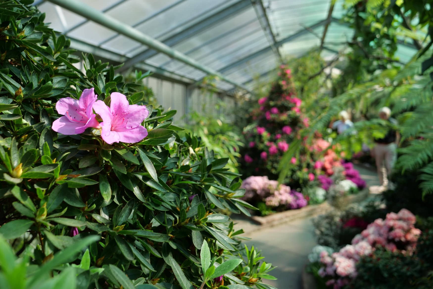 Wilhelma Zoo and Botanical Garden photo 1