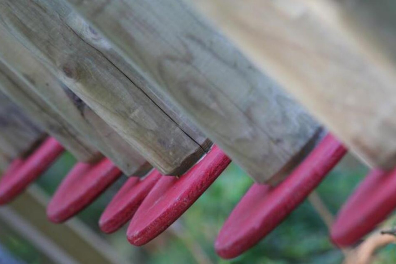 Woodland climbing park Faistenau photo 1