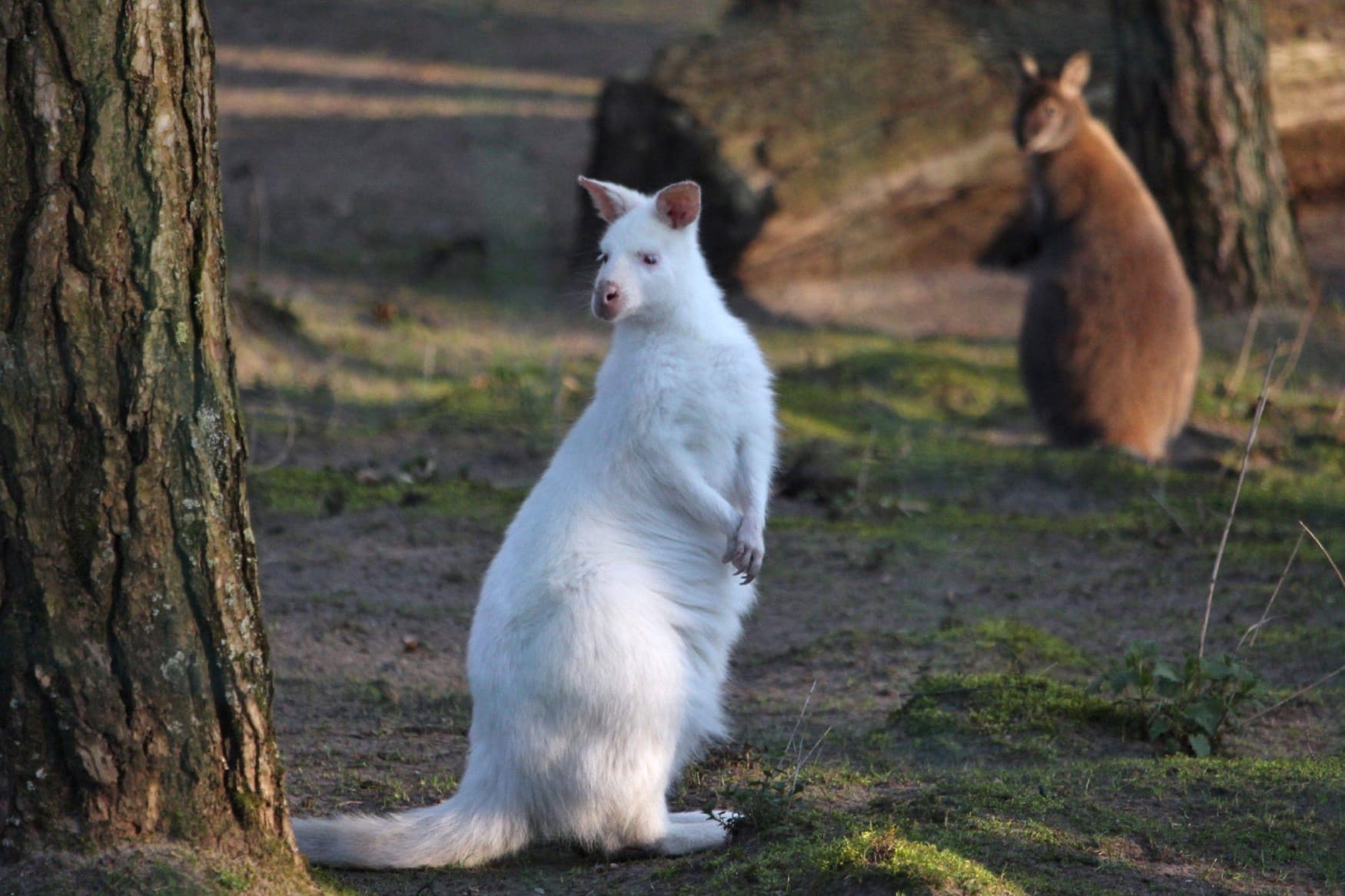 Zoo Eberswalde photo 1