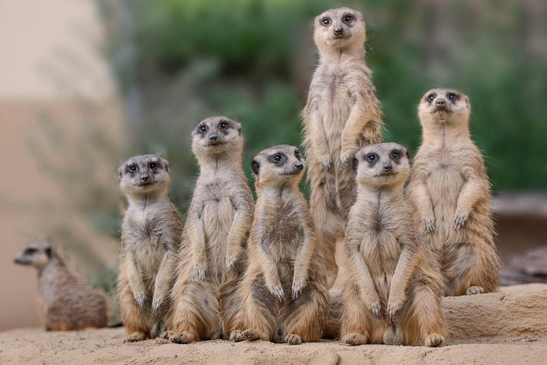 Zoo Schmiding photo 1